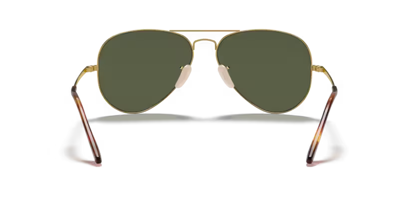 Ray-Ban 0RB3689