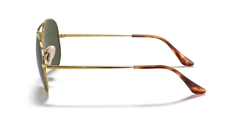 Ray-Ban 0RB3689