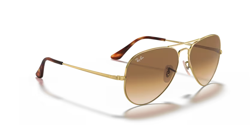Ray-Ban 0RB3689