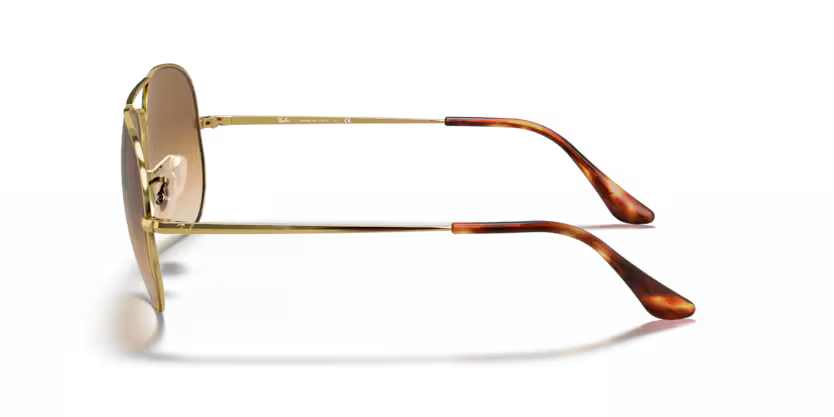 Ray-Ban 0RB3689