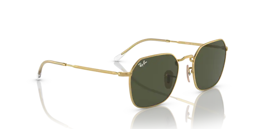 Ray-Ban 0RB3694