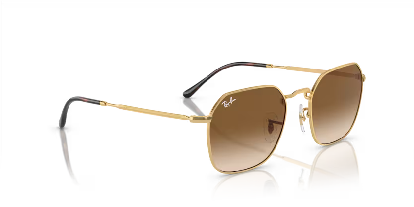 Ray-Ban 0RB3694