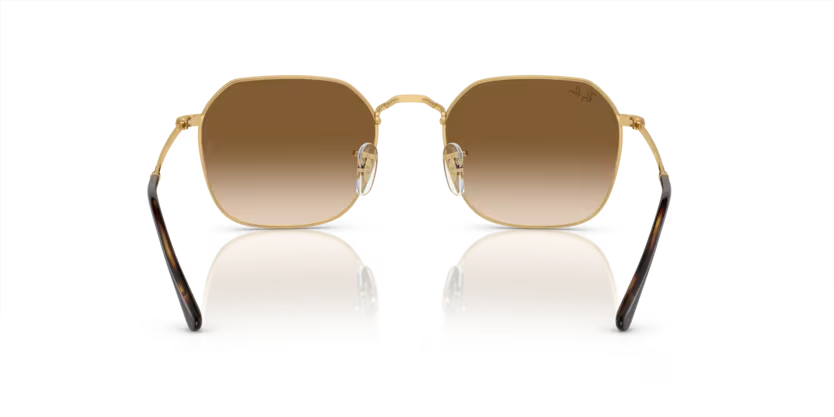 Ray-Ban 0RB3694