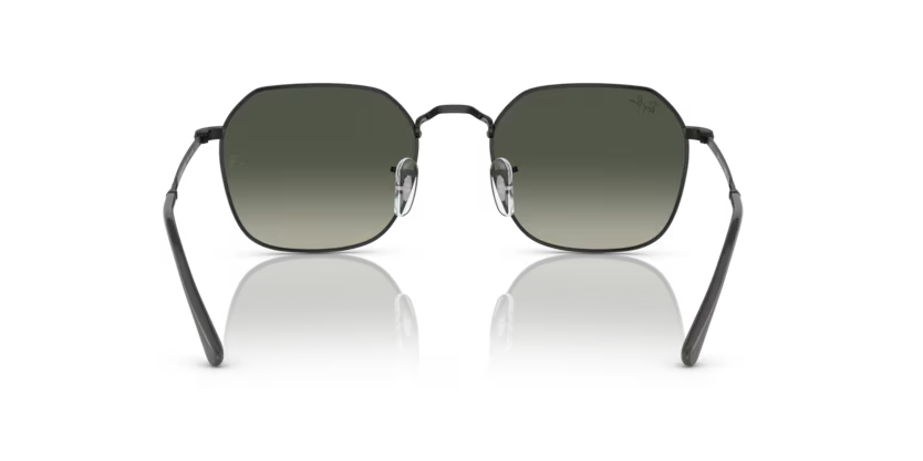 Ray-Ban 0RB3694