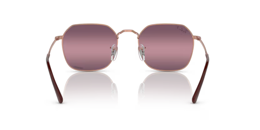 Ray-Ban 0RB3694