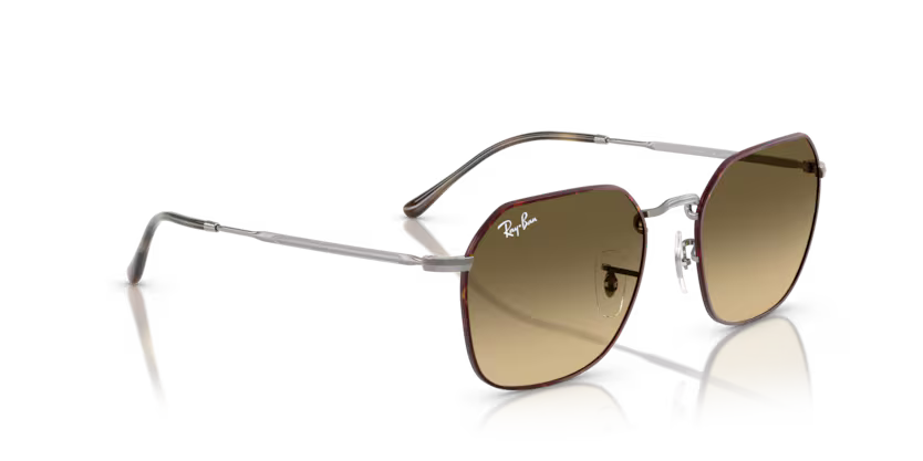 Ray-Ban 0RB3694