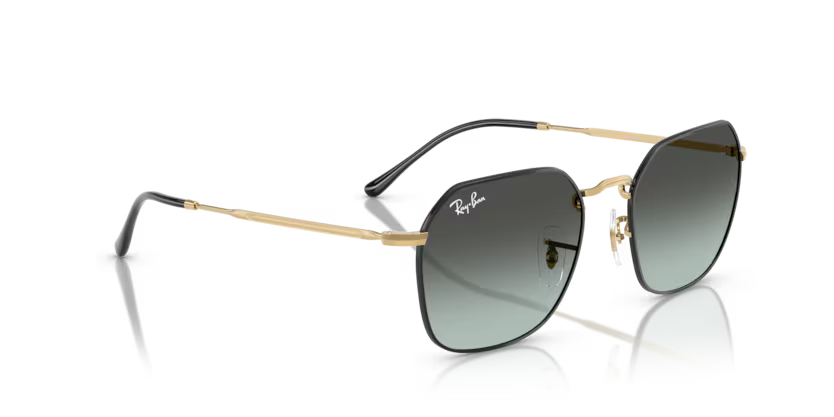 Ray-Ban 0RB3694