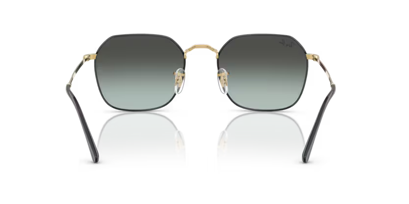 Ray-Ban 0RB3694
