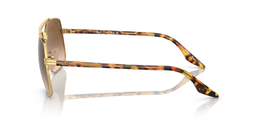 Ray-Ban 0RB3699