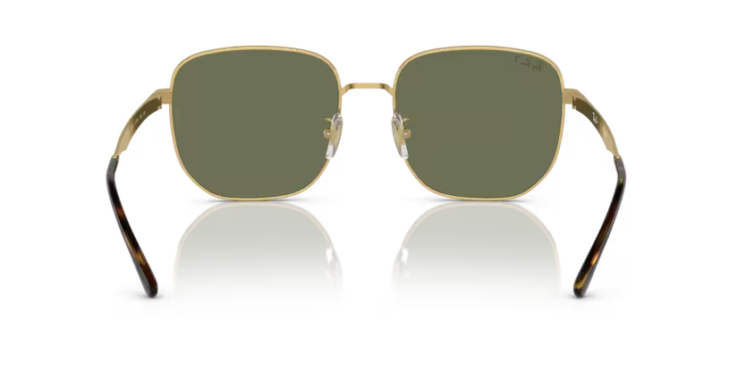 Ray-Ban 0RB3713D