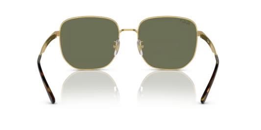 Ray-Ban 0RB3713D