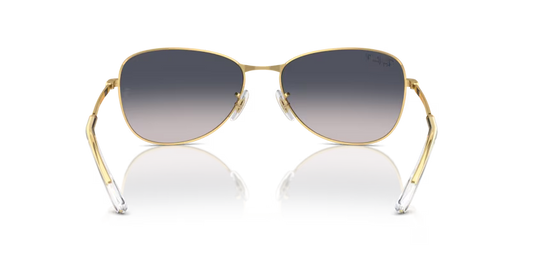 Ray-Ban 0RB3733