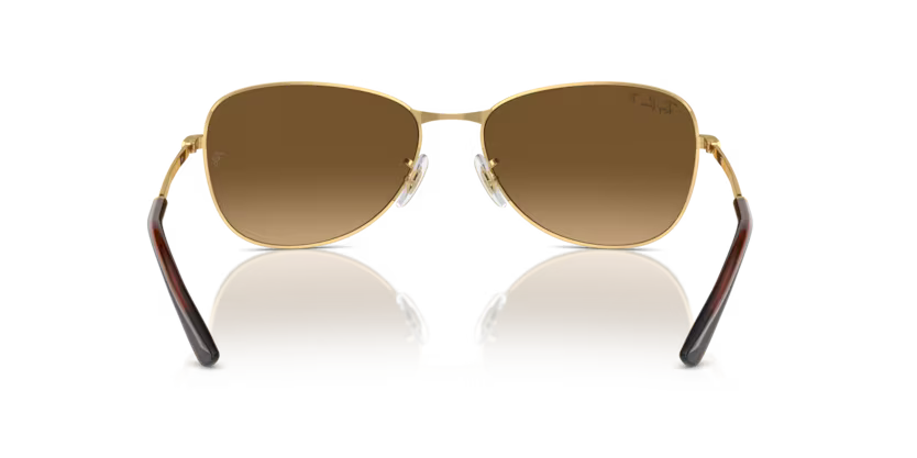 Ray-Ban 0RB3733