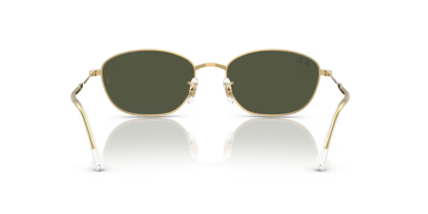 Ray-Ban 0RB3749