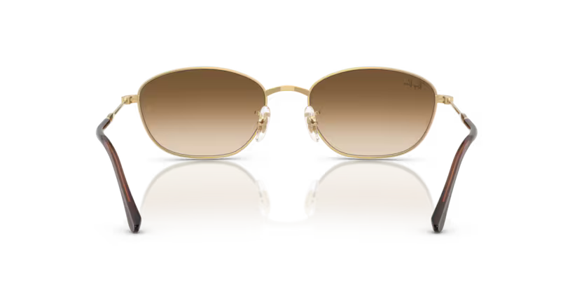 Ray-Ban 0RB3749