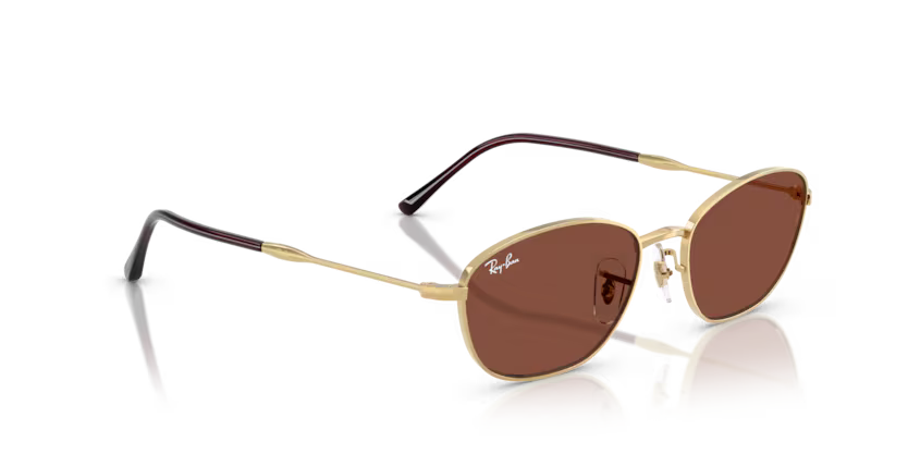 Ray-Ban 0RB3749