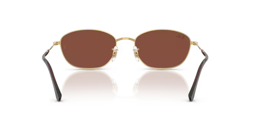 Ray-Ban 0RB3749