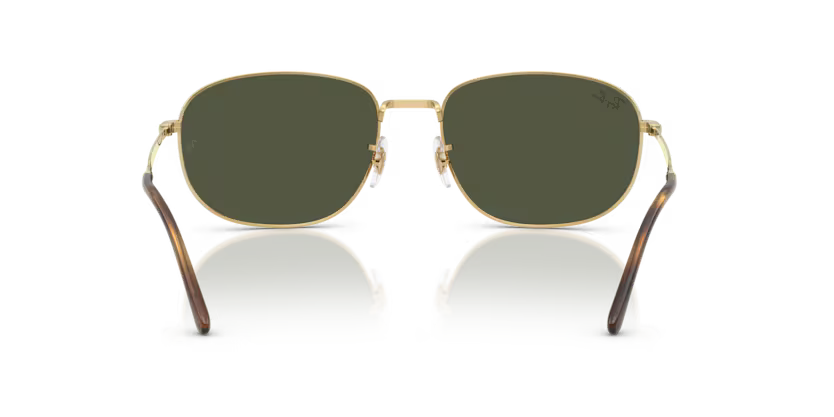 Ray-Ban 0RB3754