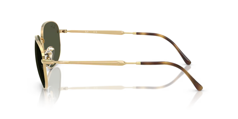 Ray-Ban 0RB3754
