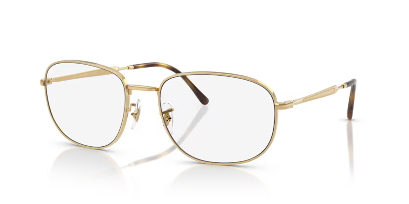 Ray-Ban 0RB3754