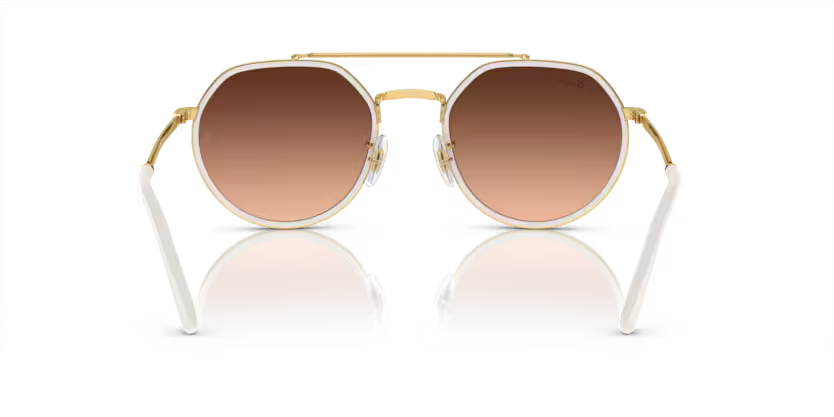 Ray-Ban 0RB3765