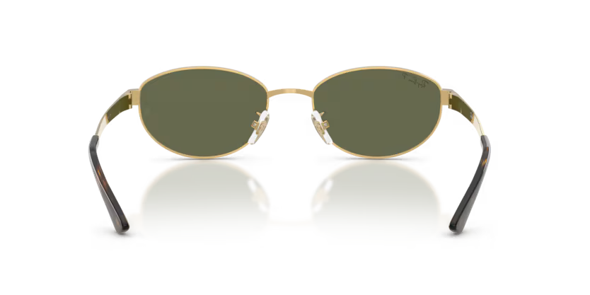 Ray-Ban 0RB3774D