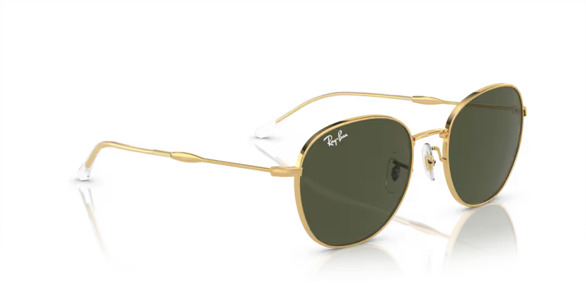Ray-Ban 0RB3809