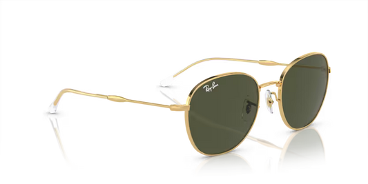 Ray-Ban 0RB3809