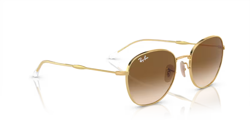 Ray-Ban 0RB3809