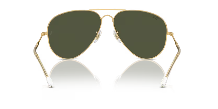 Ray-Ban 0RB3825
