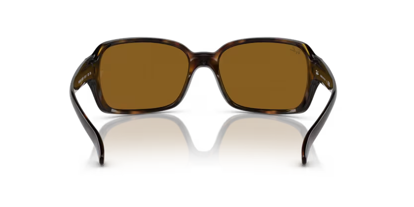Ray-Ban 0RB4068
