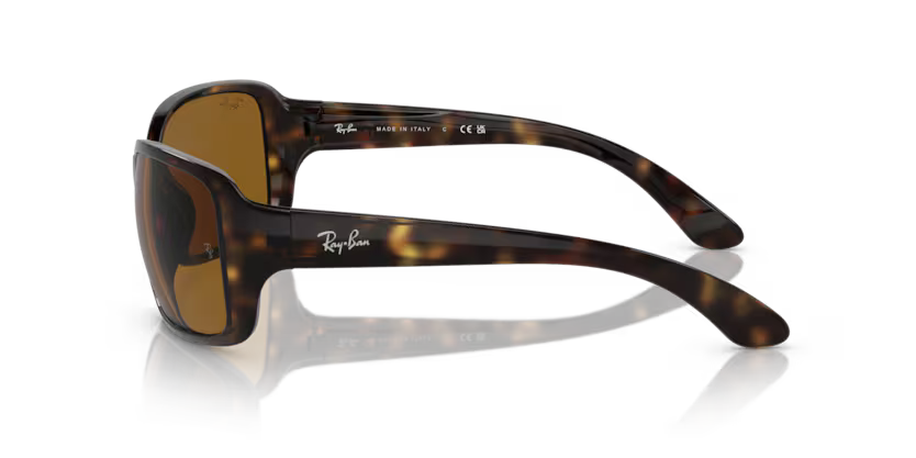 Ray-Ban 0RB4068