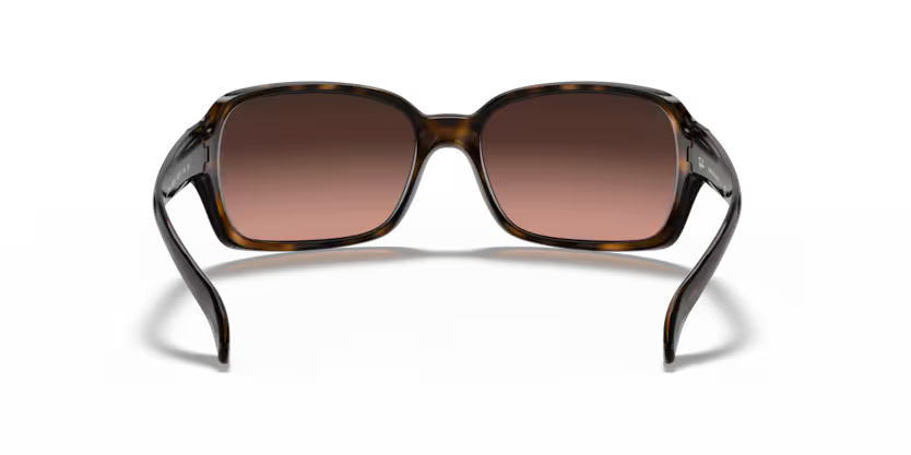 Ray-Ban 0RB4068