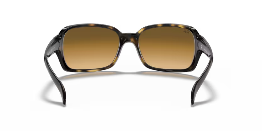 Ray-Ban 0RB4068