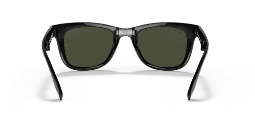Ray-Ban 0RB4105