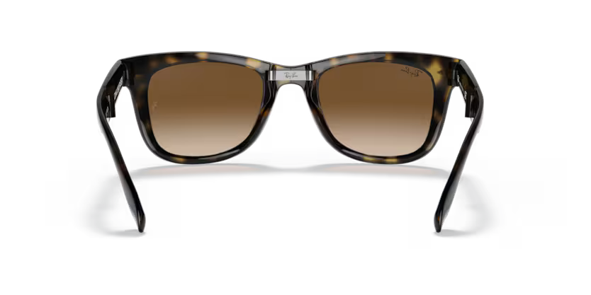 Ray-Ban 0RB4105