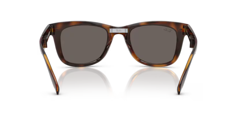 Ray-Ban 0RB4105