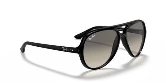 Ray-Ban 0RB4125