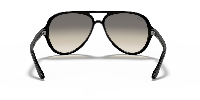 Ray-Ban 0RB4125