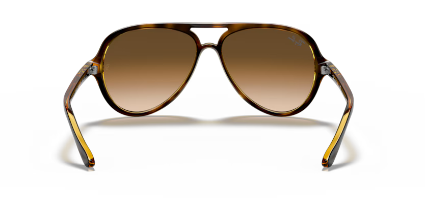 Ray-Ban 0RB4125