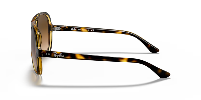 Ray-Ban 0RB4125