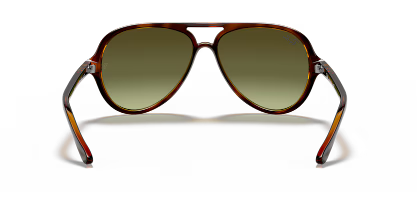 Ray-Ban 0RB4125