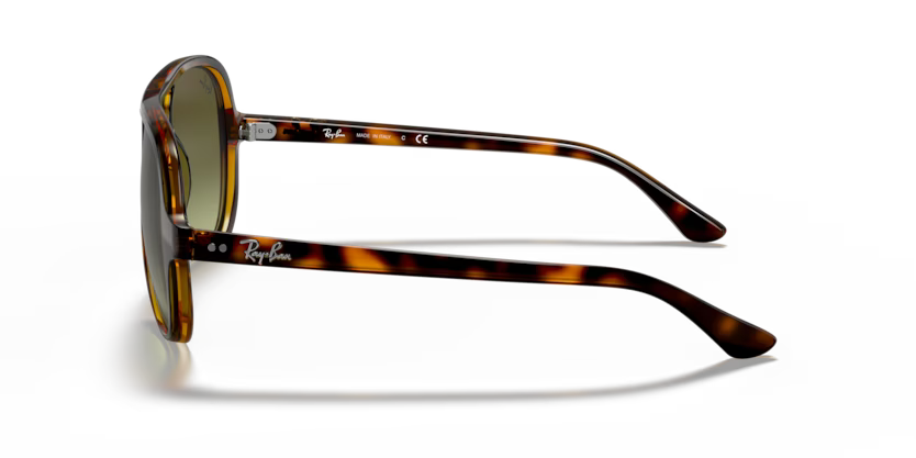 Ray-Ban 0RB4125
