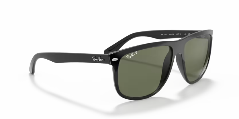 Ray-Ban 0RB4147