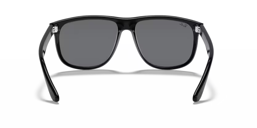 Ray-Ban 0RB4147