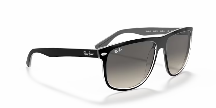 Ray-Ban 0RB4147