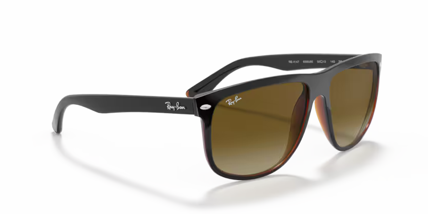 Ray-Ban 0RB4147