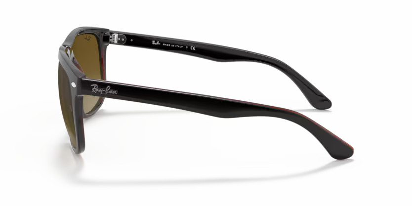 Ray-Ban 0RB4147