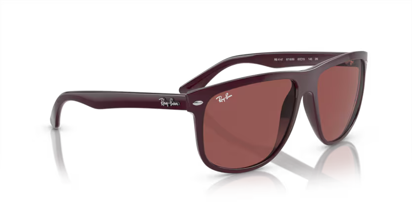 Ray-Ban 0RB4147