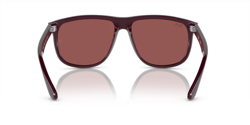 Ray-Ban 0RB4147